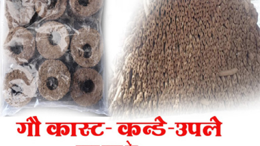 gaukast kande